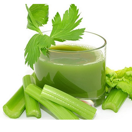 Rau-cần-tây-VietGap-1